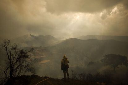 Un bombero observa el monte quemado en las cercanías de Ojén.