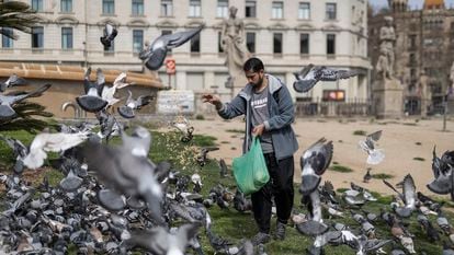 Un joven dando de comer a las palomas en plaza Catalunya.