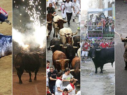 Los festejos taurinos populares incluyen recortes, toros embolados, encierros, sueltas y toros en cuerda.