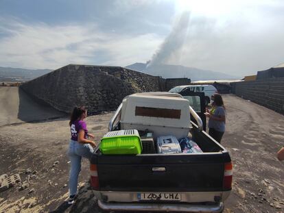 Cecilia, a la izquierda, y Lara en la camioneta con la que rescatan cada día animales abandonados en las fincas de las zonas de exclusión de La Palma.