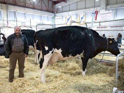 Manuel Francisco Penabad, elegido mejor criador en Silleda, junto a su vaca <i>Agrortegal Galletera Juror</i>, Gran Campiona de Galicia.