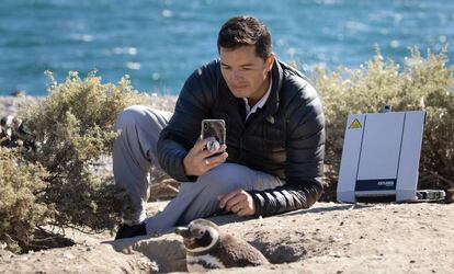 El conservacionista argentino Pablo García Borboroglu recopilando datos sobre la población de pingüinos de la Patagonia. ©Rolex/Tomas Bertelsen