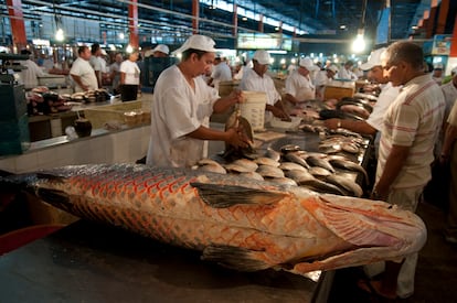 Ejemplares de pirarucú siendo cortado en el mercado de Manaos (Brasil), en 2010.