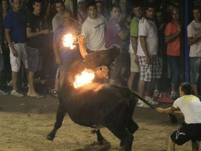 Imagen de un toro embolado en Nules, de las fiestas de hace tres años.