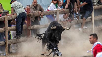 El toro salta sobre un paraguas este martes en Tordesillas.