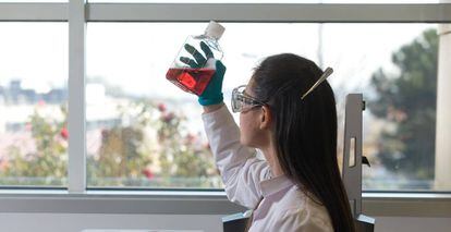 Una científica del centro de investigación y desarrollo de Alcobendas de Lilly, en Madrid, observa una muestra de laboratorio.
