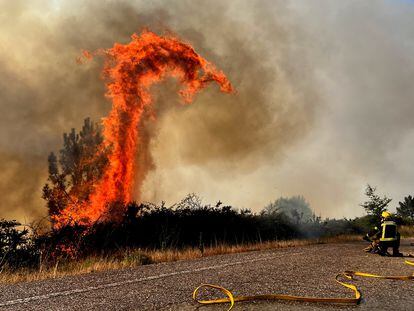 Trabajo de extinción de un incendio forestal en A Cañiza (Pontevedra), en julio de 2022.