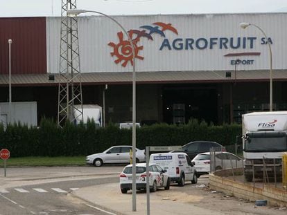 La sede de Agrofuit en Tortosa