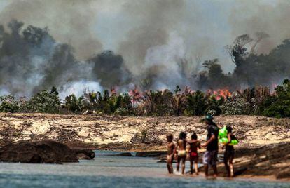 Las islas del Xingú fueron arrasadas para despejar el camino a la construcción de la presa.
