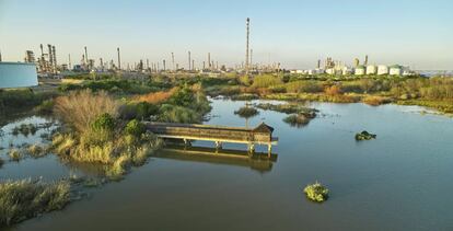 Vista de la Laguna Primera de Palos, con el complejo industrial de Cepsa al fondo.