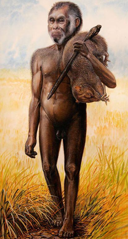 Reproducción artística del <b><i>Homo Floresiensis</b></i>.