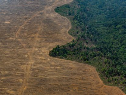 Zona de la selva del Amazonas deforestada para plantar soja cerca de Porto Velho (Brasil).