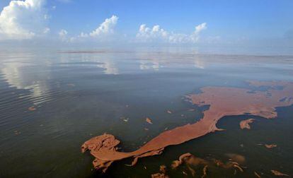 Una mancha de crudo del vertido de la plataforma &#039;Deepwater Horizon&#039;, en 2010.