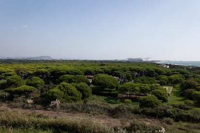 La Casa Gomis, de Antonio Bonet Castellana, envuelta de pinos. Al fondo a la derecha los tinglados de los nuevos diques del puerto de Barcelona, a la izquierda, Montjuïc.
