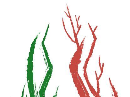 Elecciones en Italia: El camuflaje de Giorgia Meloni. Flores d'Arcais