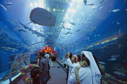 Tiburones y rayas en el acuario del Dubai Mall, en Dubái.
