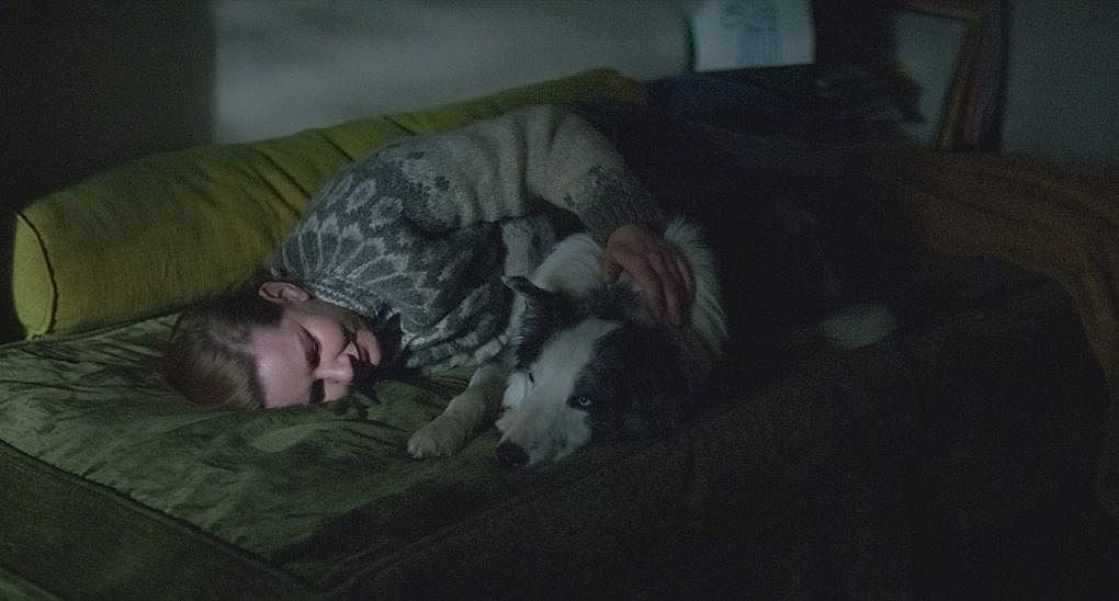 Ni ‘Barbie’ ni ‘Oppenheimer’: el fenómeno fan del cine en 2023 ha sido el furor por perros actores