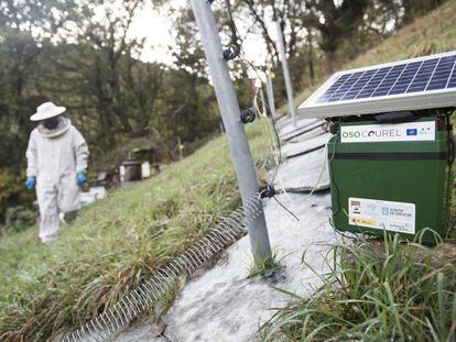 Un apicultor trabaja en un colmenar de O Courel protegido de los osos por un cercado eléctrico.