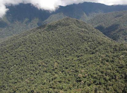 Vista de las montañas de Foja, una remota selva de una isla de la provincia de Papúa, Indonesia