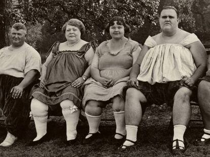 Una família unida en l’obesitat és la trama d’un dels demolidors contes del llibre d’Empar Moliner.