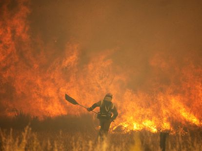 Efectivos de bomberos durante el incendio de la Sierra de la Culebra en junio de 2022, en Zamora, Castilla y León.