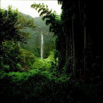 La catarata Waimoku al final del bosque de bambú de Pipiwai.