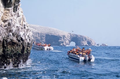 Reserva Nacional de Paracas