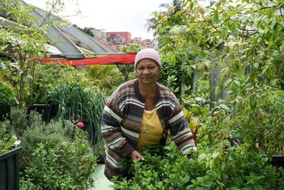 María Carvalho Santos colabora en la gran huerta del barrio y es beneficiaria de las cestas de hortalizas orgánicas.