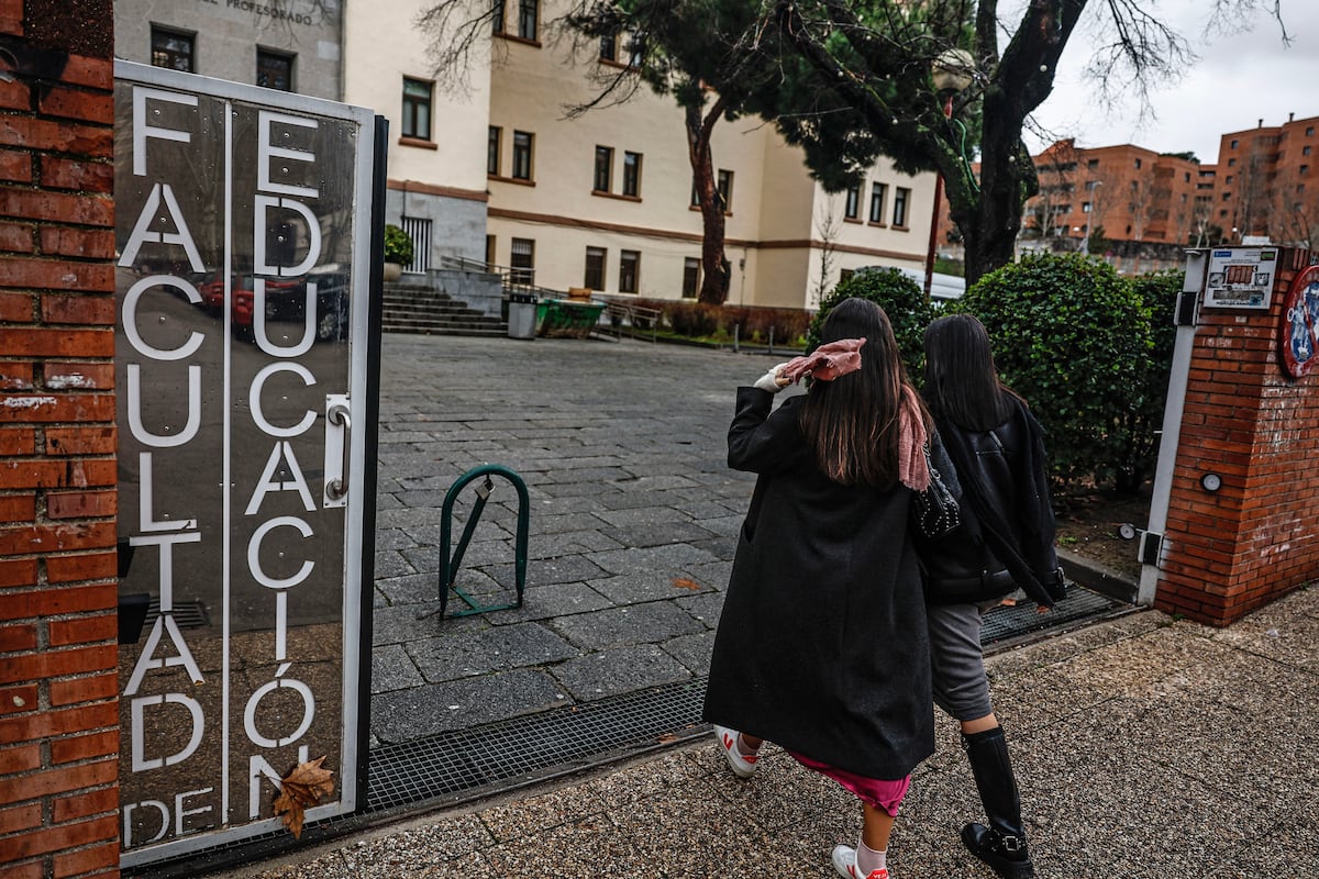Solo un 25% de los futuros maestros cursó el bachillerato tecno-científico, y se refleja en su docencia | Educación