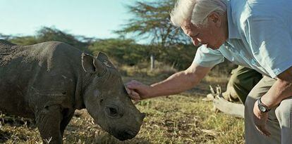 El naturalista Richard Attenborough, en el rodaje de la serie &#039;&Aacute;frica&#039;.