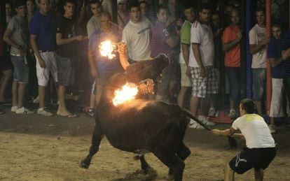 Imagen de archivo de un 'toro embolado' en Nules (Castellón).