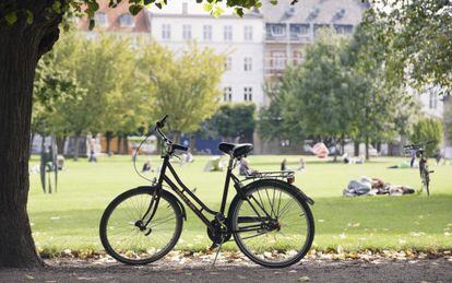 Una bicicleta en el parque de King's Gardens, en Copenhague.