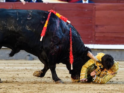 Álvaro Alarcón sufrió una seria voltereta cuando muleteaba a su primer novillo.