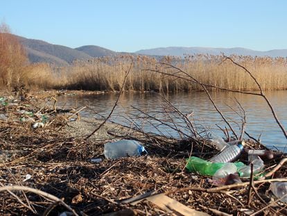 Desechos y restos plásticos en el lago Ohrid, en Macedonia del norte.