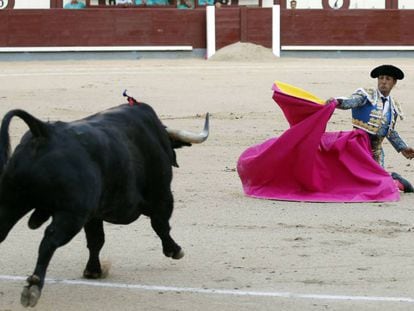 Fandiño recibe de rodillas a uno de sus toros el pasado 29 de mayo, su última tarde en Las Ventas.