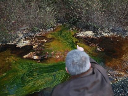 Un vecino de Touro muestra el drenaje &aacute;cido de mina en el agua de la zona.