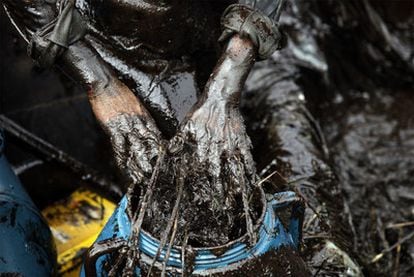 Los chinos luchan con las manos desnudas contra el vertido de 1.500 toneladas de petróleo registrado en el mar Amarillo.