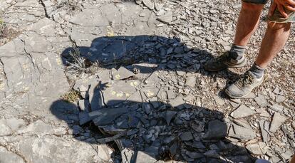 La sombra de dos paleontólogos de Las Hoyas se proyecta sobre uno de los restos de las primeras investigaciones del yacimiento.