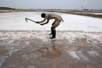 Un trabajador recoge sal marina en Karachi (Pakistán).