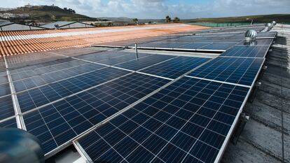 Paneles solares en Andalucía, en una imagen de archivo.