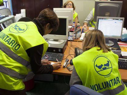 Voluntarios en la oficinas del Colegio de San Fernando de Madrid.