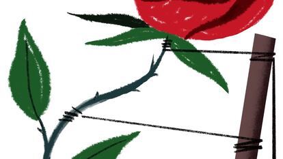 ¿Giro a la izquierda?