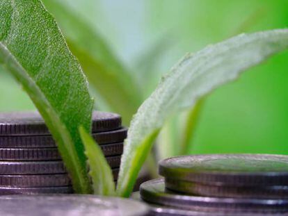 Las finanzas sostenibles, un nuevo nicho de asesoramiento