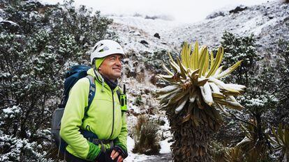 El geógrafo Jorge Luis Ceballos durante la ascensión al glaciar Conejeras. A su derecha, un frailejón, la planta típica del páramo colombiano.