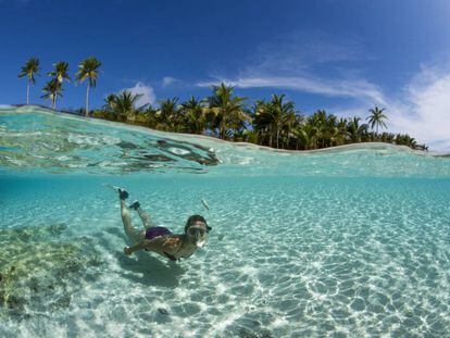 Buceando con tubo en las islas Molucas (Indonesia).