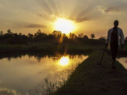 Un hombre pasa por una piscifactor&iacute;a en Lira (Uganda).