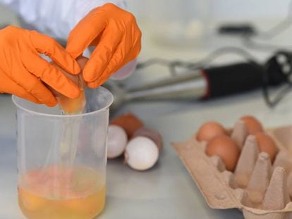 Un t&eacute;cnico analiza huevos en un laboratorio de Erlangen, en Alemania.