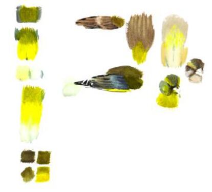 Bocetos de aves de Lars Jonsson.