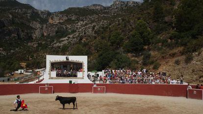 Corrida tur&iacute;stica el a&ntilde;o pasado en Alfara de Carles.