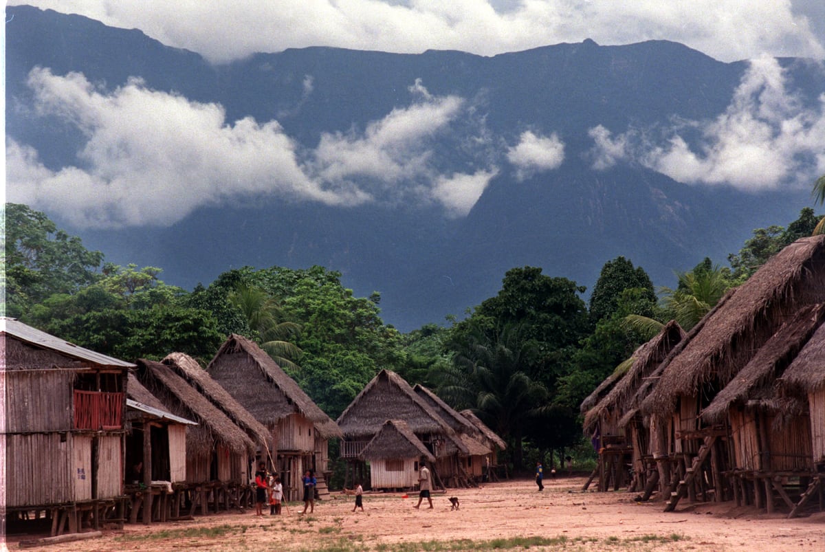 Amazonía: La lucha del pueblo kakataibo por su territorio y su vida | En  primera línea | Planeta Futuro | EL PAÍS